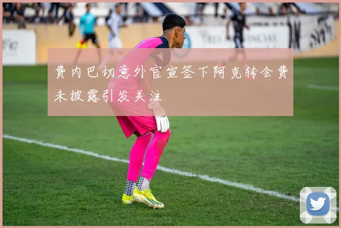 费内巴切意外官宣签下阿克转会费未披露引发关注
