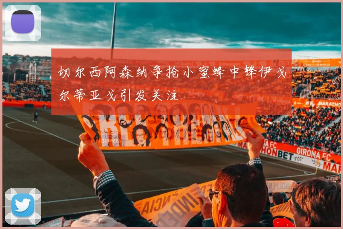切尔西阿森纳争抢小蜜蜂中锋伊戈尔蒂亚戈引发关注