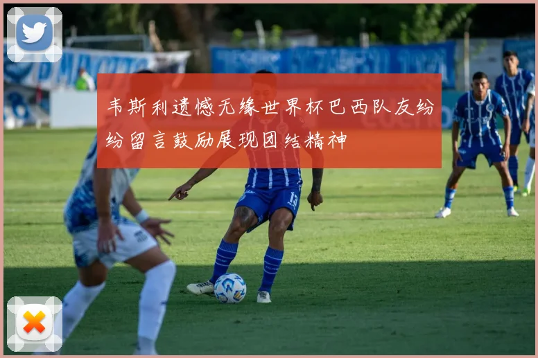 韦斯利遗憾无缘世界杯巴西队友纷纷留言鼓励展现团结精神