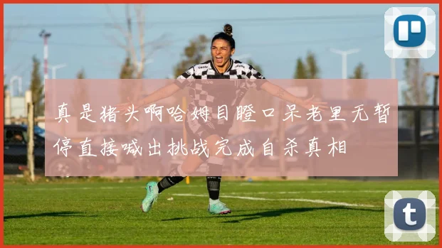 真是猪头啊哈姆目瞪口呆老里无暂停直接喊出挑战完成自杀真相