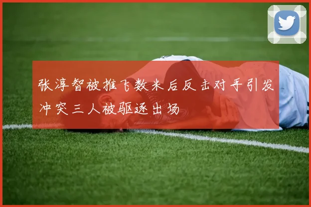 张淳智被推飞数米后反击对手引发冲突三人被驱逐出场